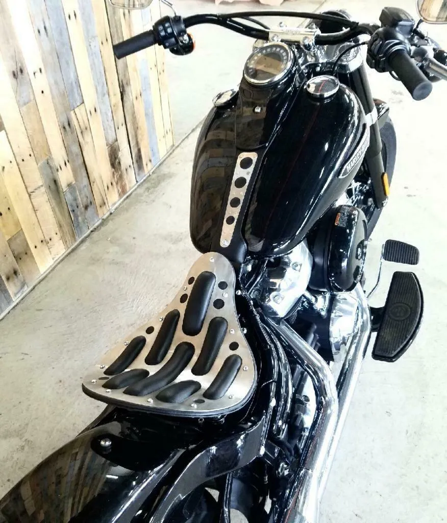 2018-2025 Harley Softail Stanless Steel Tank Bib Slim Heritage Street Bob Deluxe