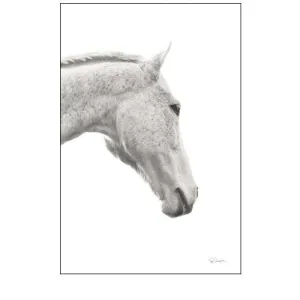 A Horse Named Lady I BW