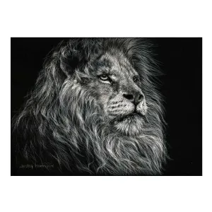 African Lion