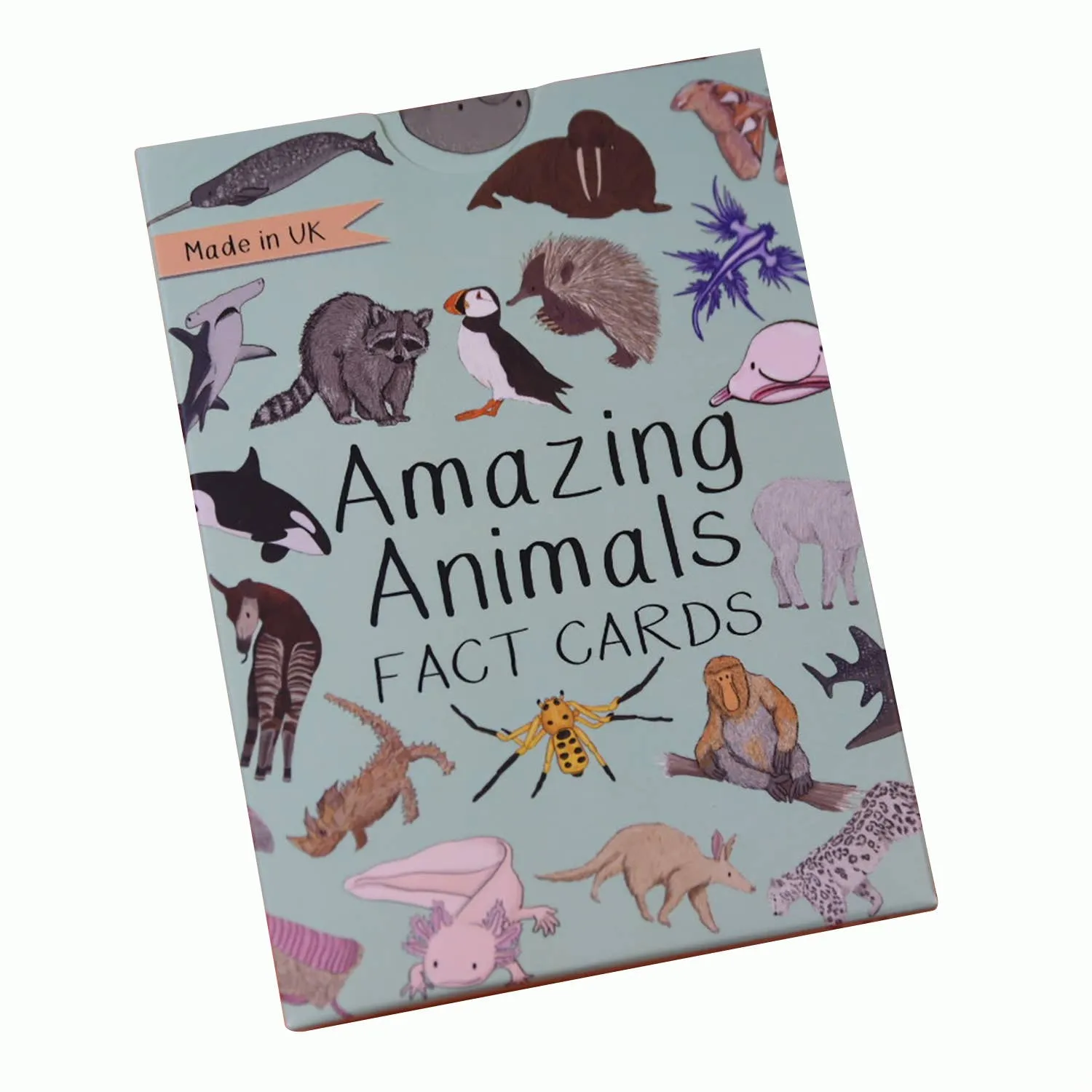 Amazing Animals Fact Cards Set One