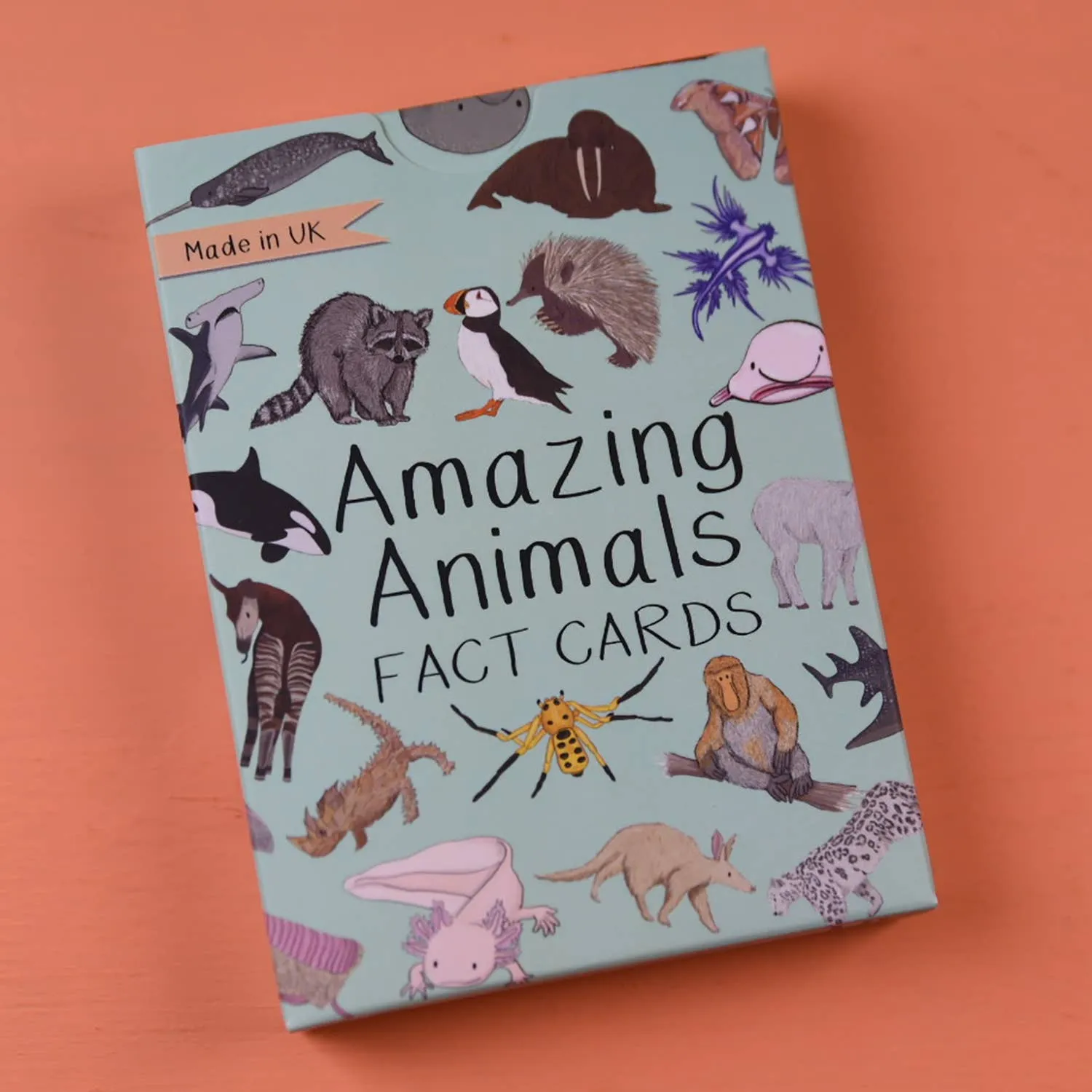 Amazing Animals Fact Cards Set One
