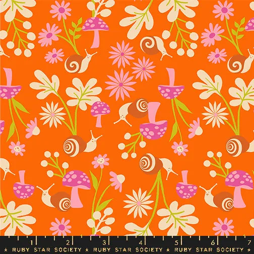 Animal Animal, Snail Garden in Goldfish