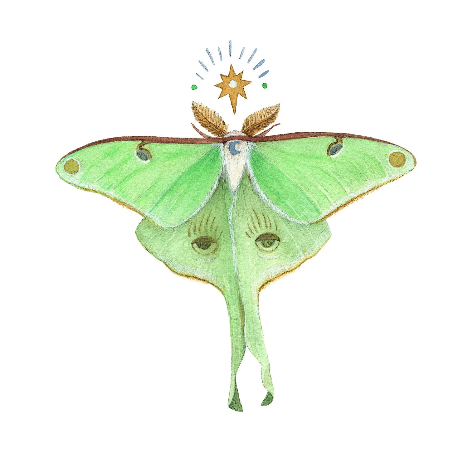 Astral Luna Moth 5x7 Print
