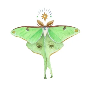 Astral Luna Moth 5x7 Print