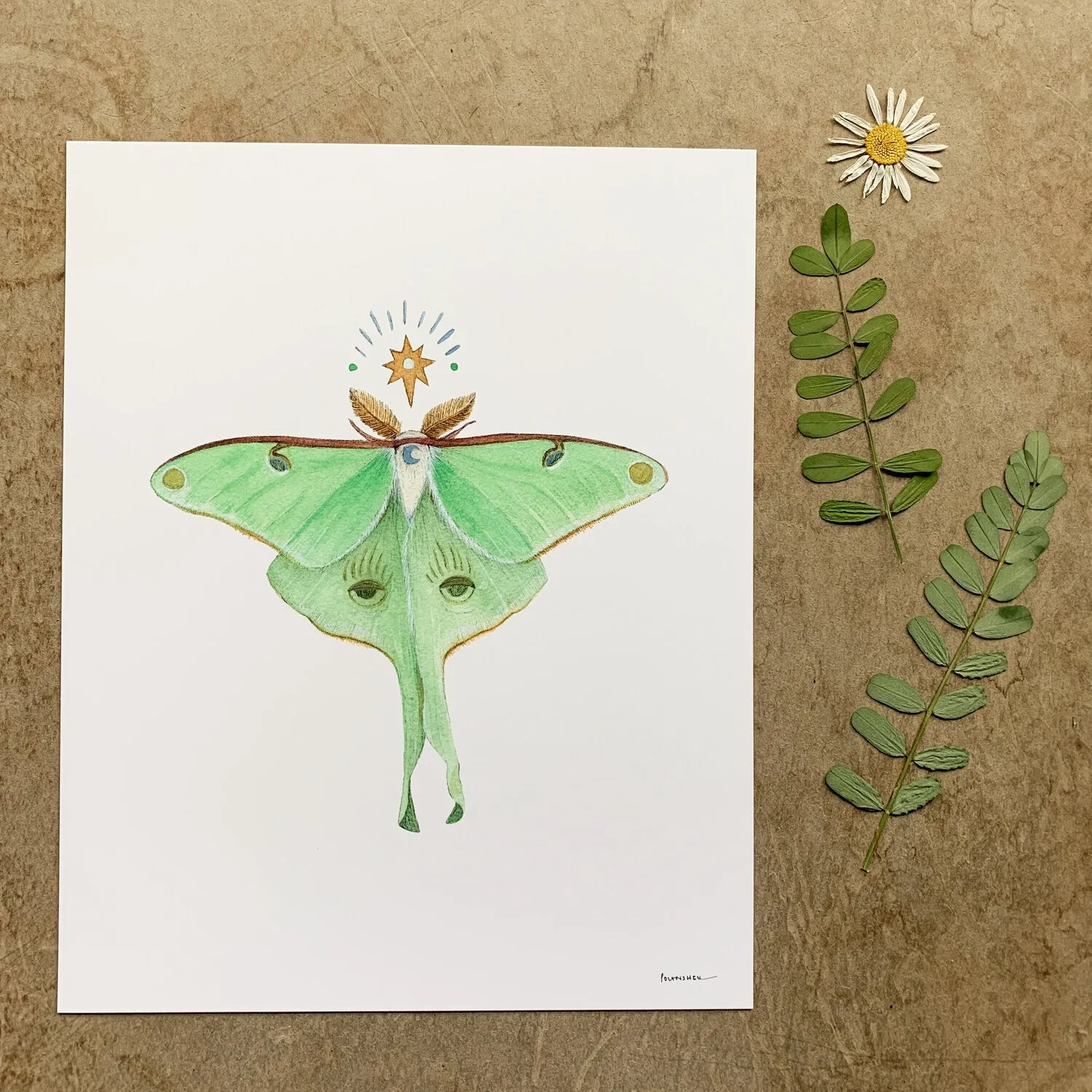 Astral Luna Moth 5x7 Print