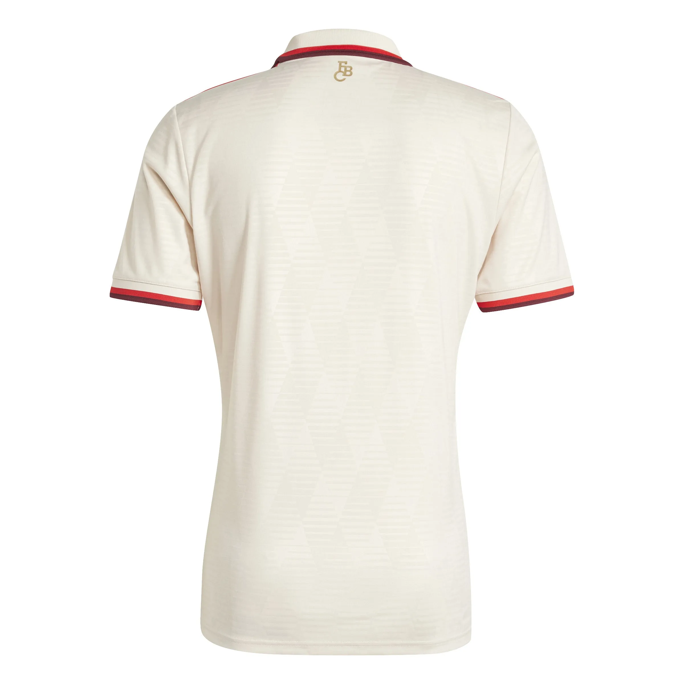 Bayern Munich Adult 2024-25 Third Jersey