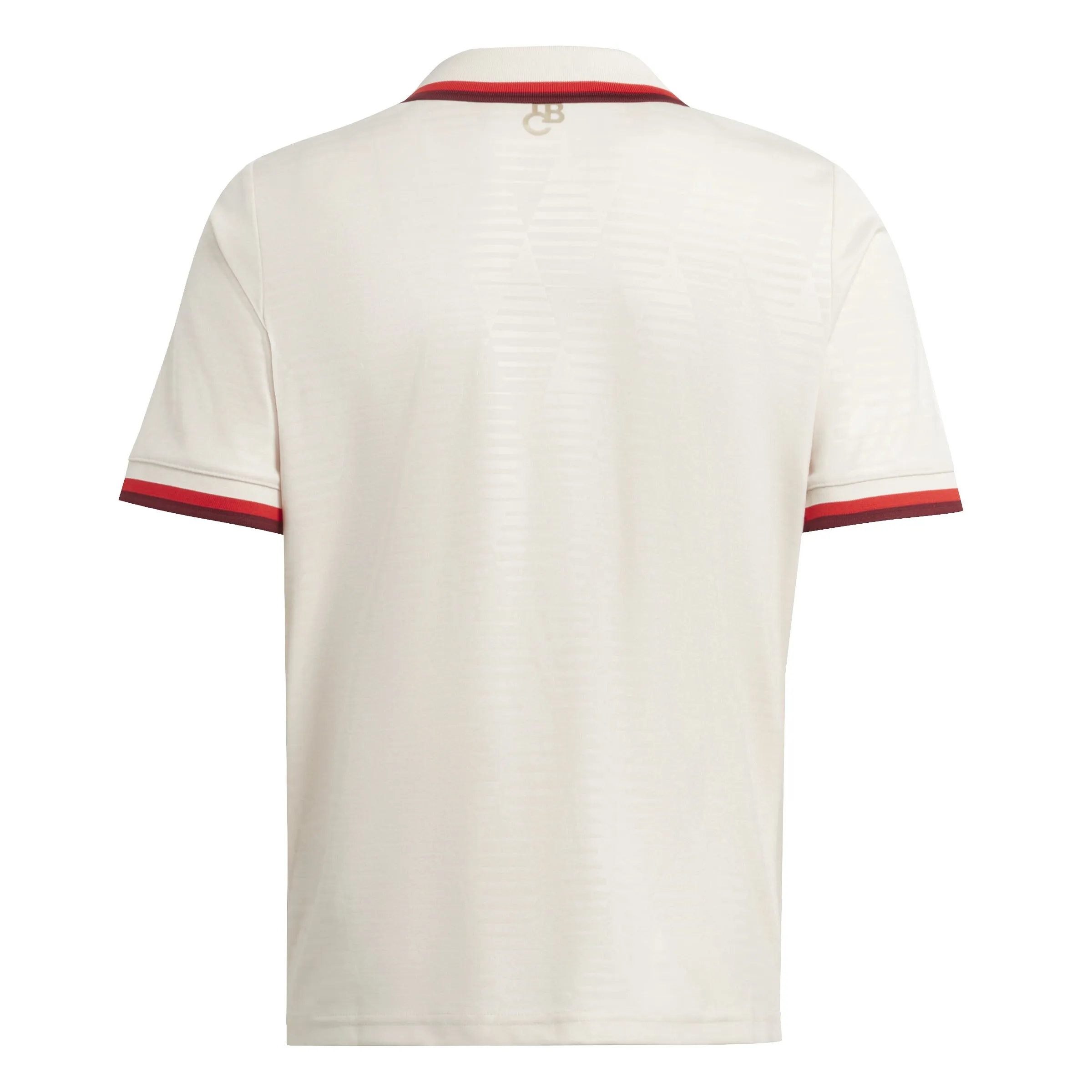 Bayern Munich Youth 2024-25 Third Jersey