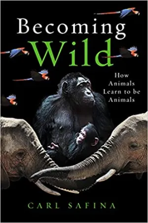 Becoming Wild