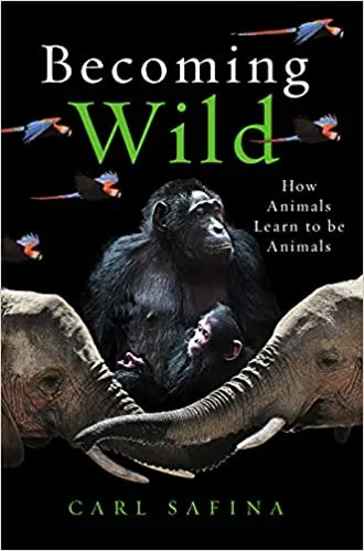 Becoming Wild