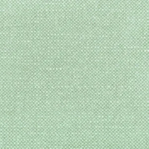 Carson-Mint