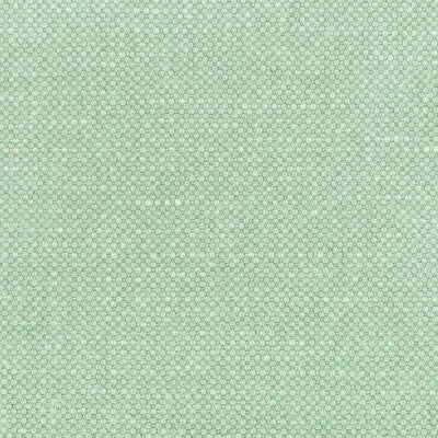 Carson-Mint
