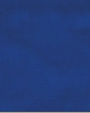 CLSCRFSOLID--Royal Scarf 100% Silk Solid