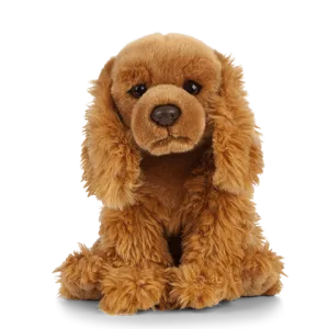 Cocker Spaniel