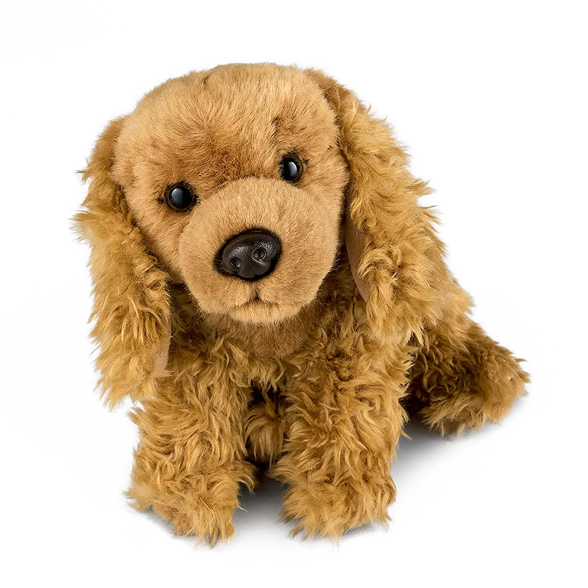 Cocker Spaniel