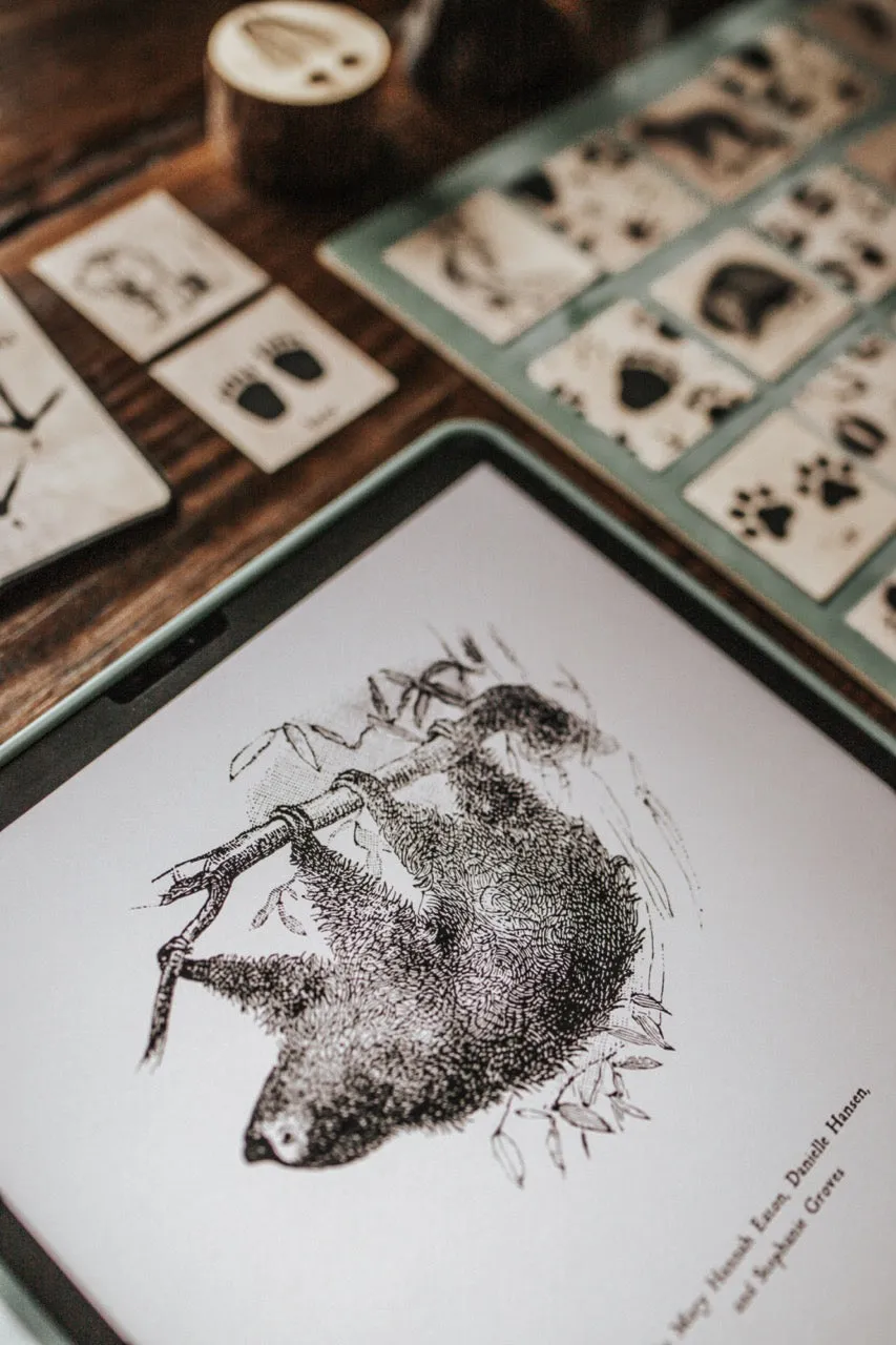 Curio Nature Society Field Guide Issue 12- ANIMALS