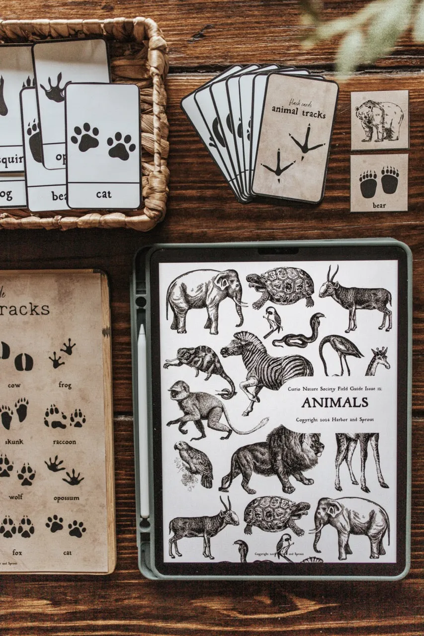 Curio Nature Society Field Guide Issue 12- ANIMALS