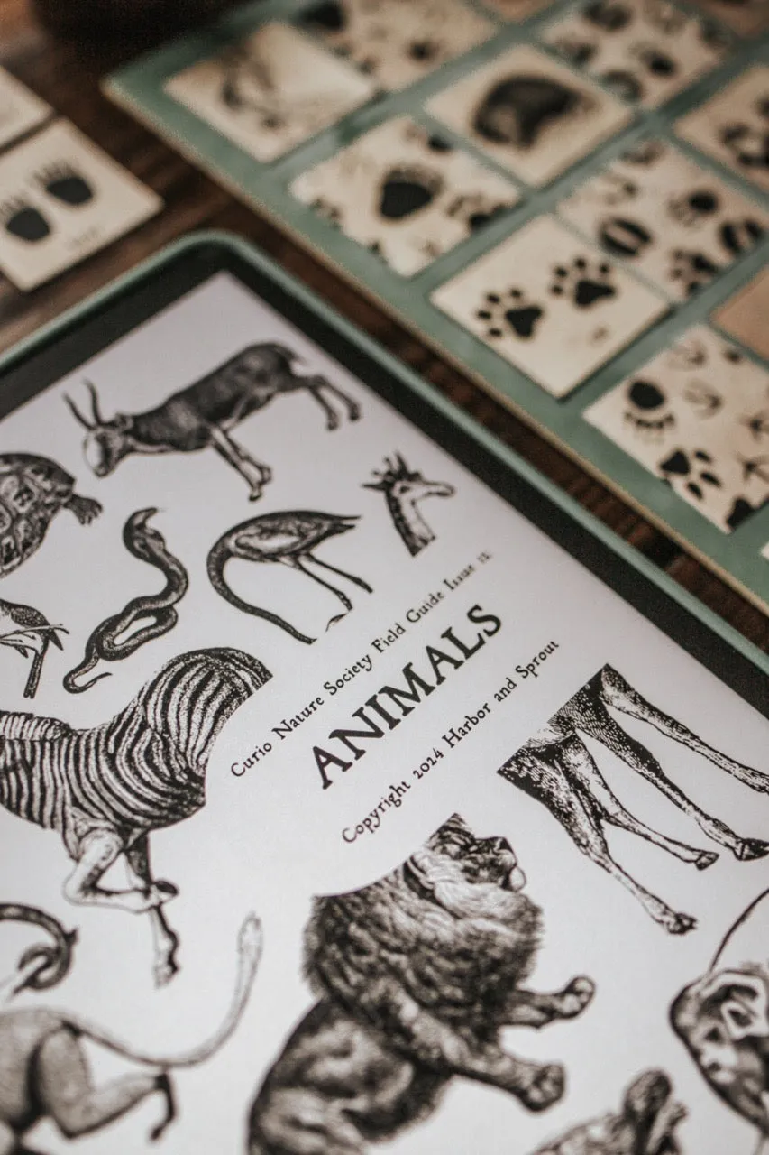 Curio Nature Society Field Guide Issue 12- ANIMALS