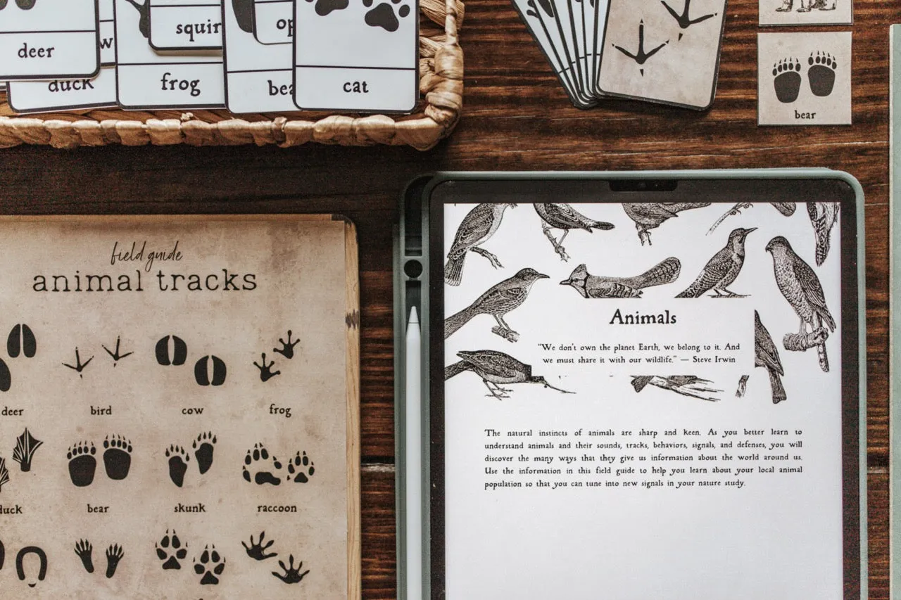 Curio Nature Society Field Guide Issue 12- ANIMALS
