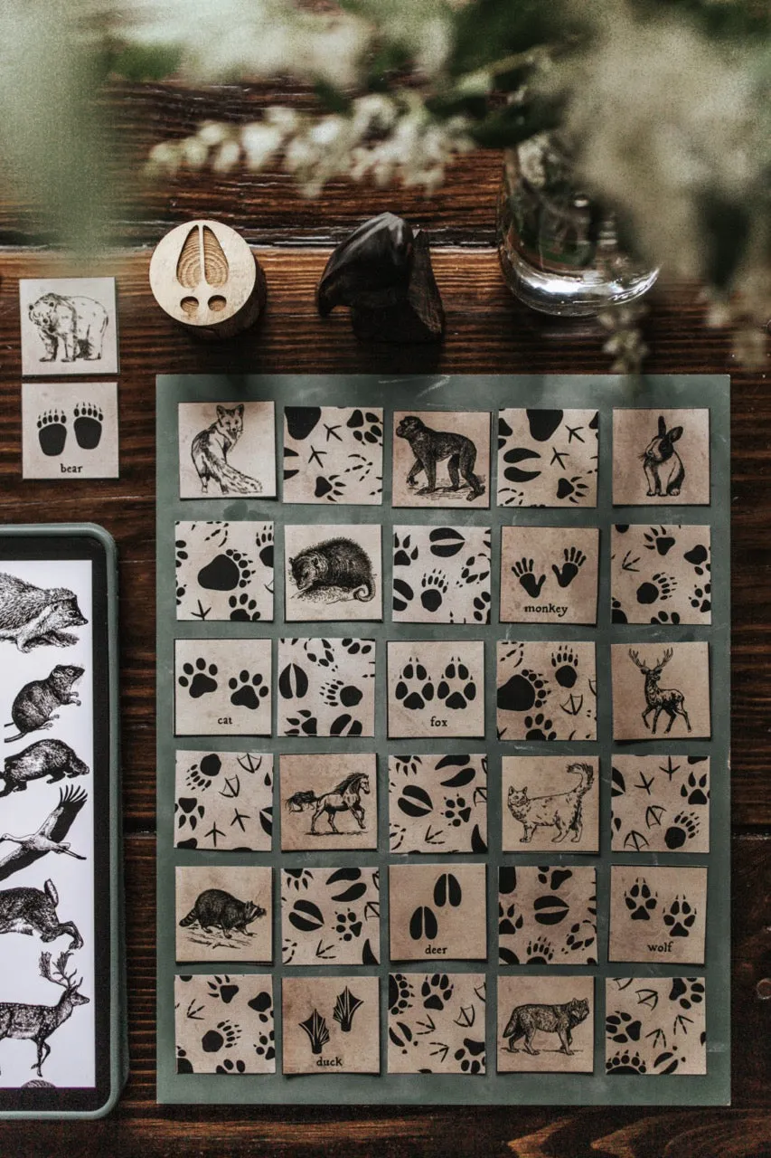 Curio Nature Society Field Guide Issue 12- ANIMALS