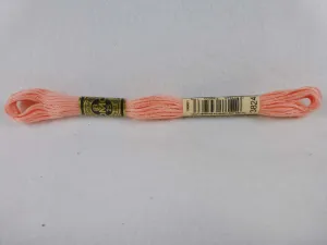 DMC Floss 3824 Light Apricot