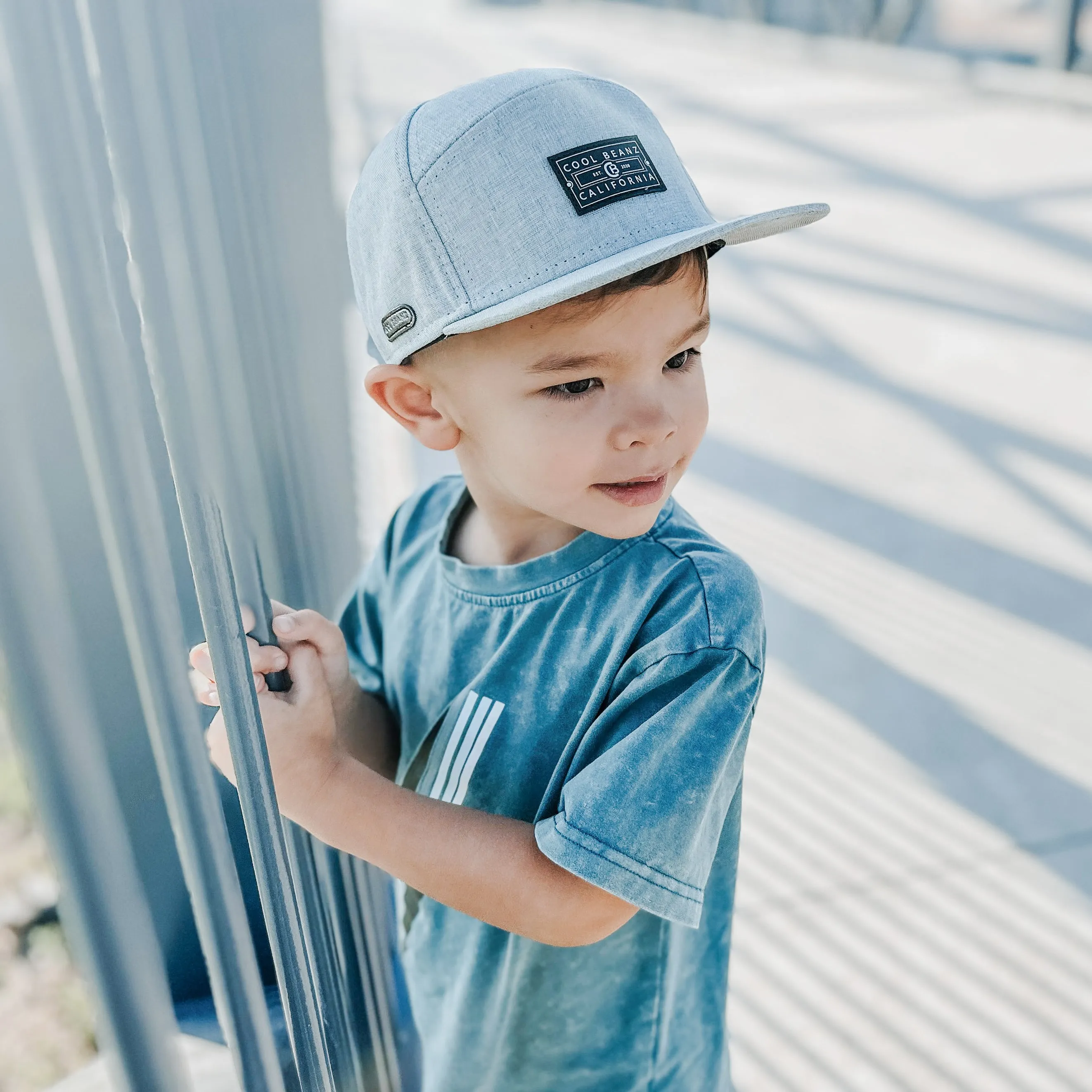 Embarcadero SnapBack