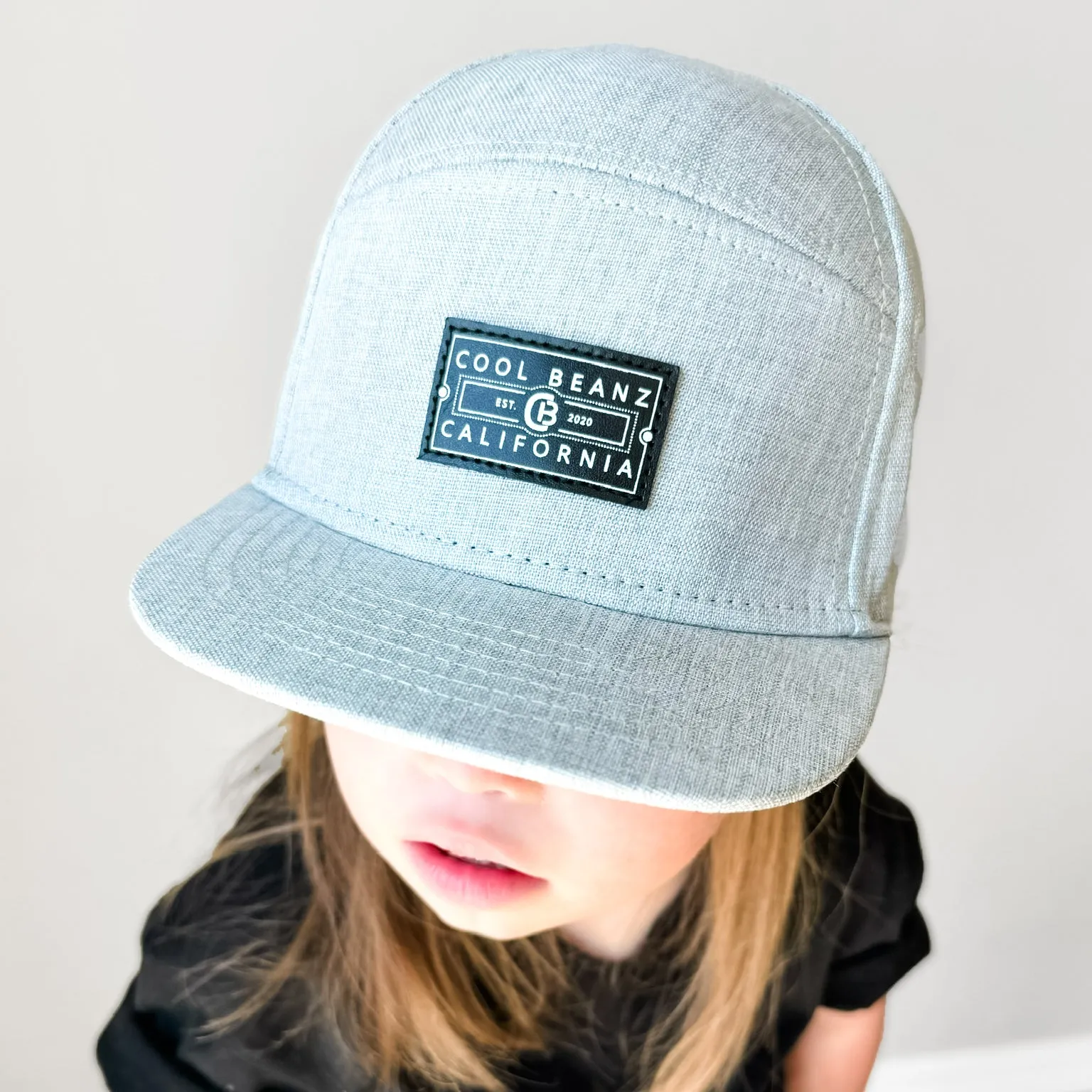 Embarcadero SnapBack