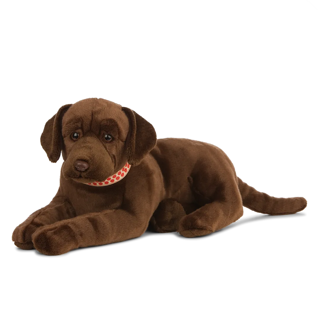 Giant Chocolate Labrador
