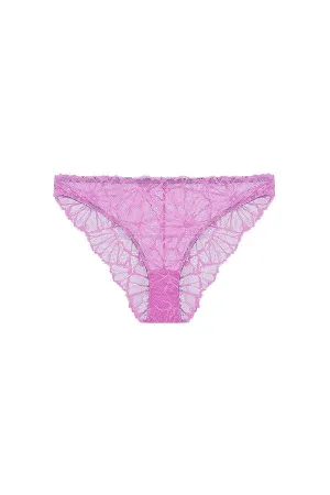 Greta Graphic Lace Knicker