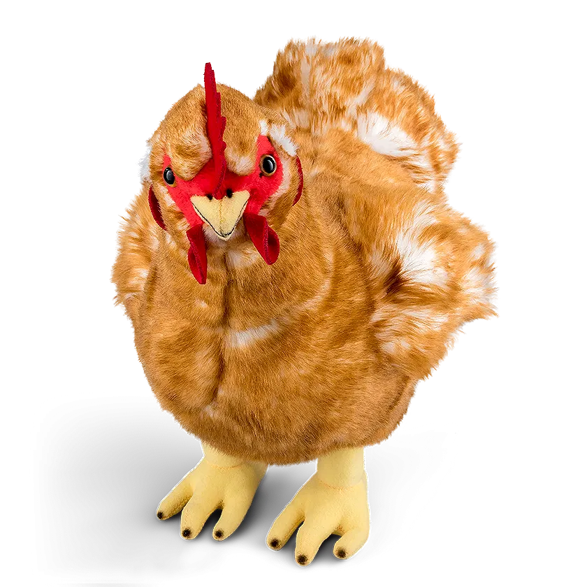 Hen