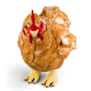 Hen