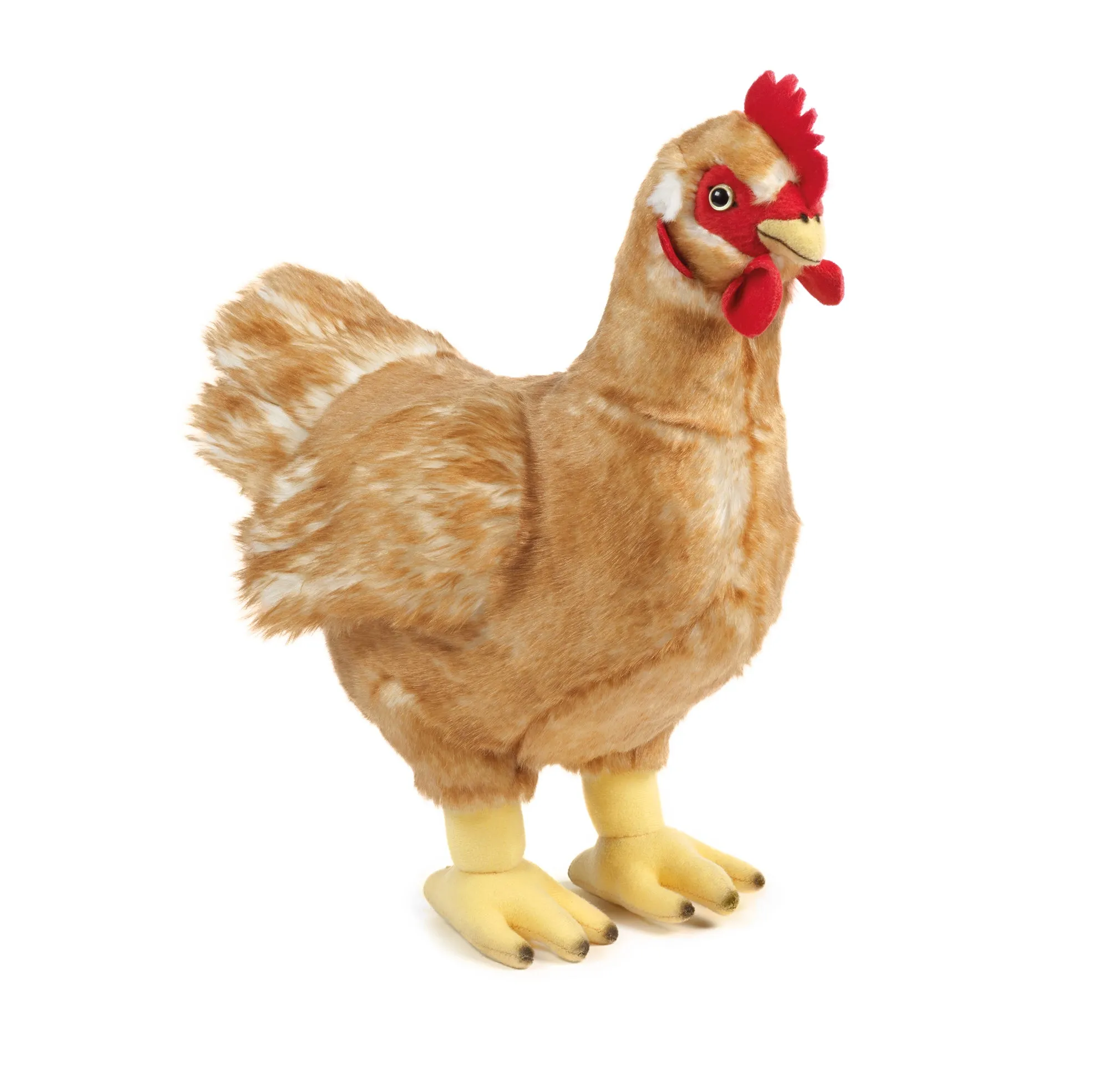 Hen