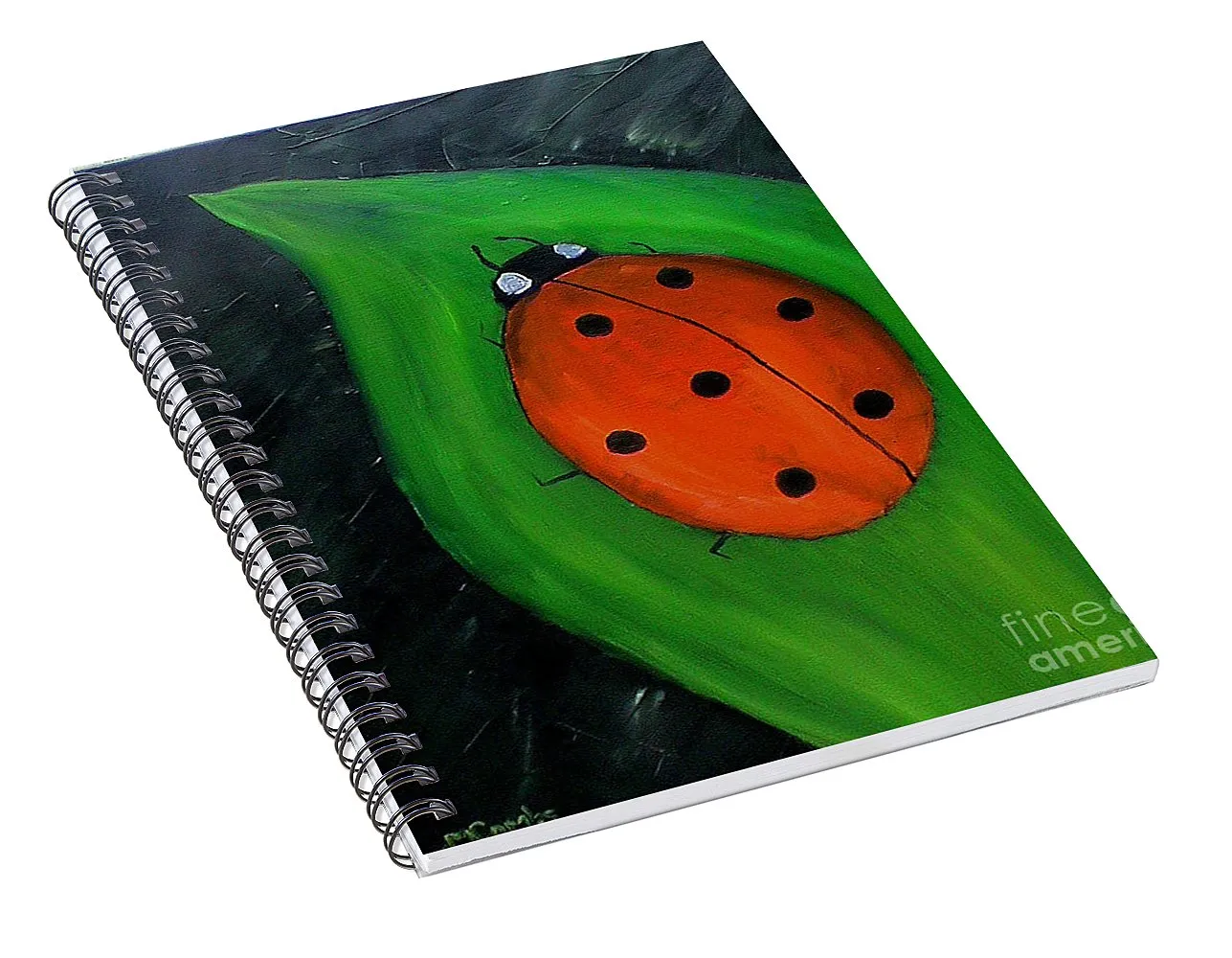 Hey Lady - Spiral Notebook