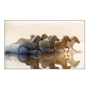 Horses