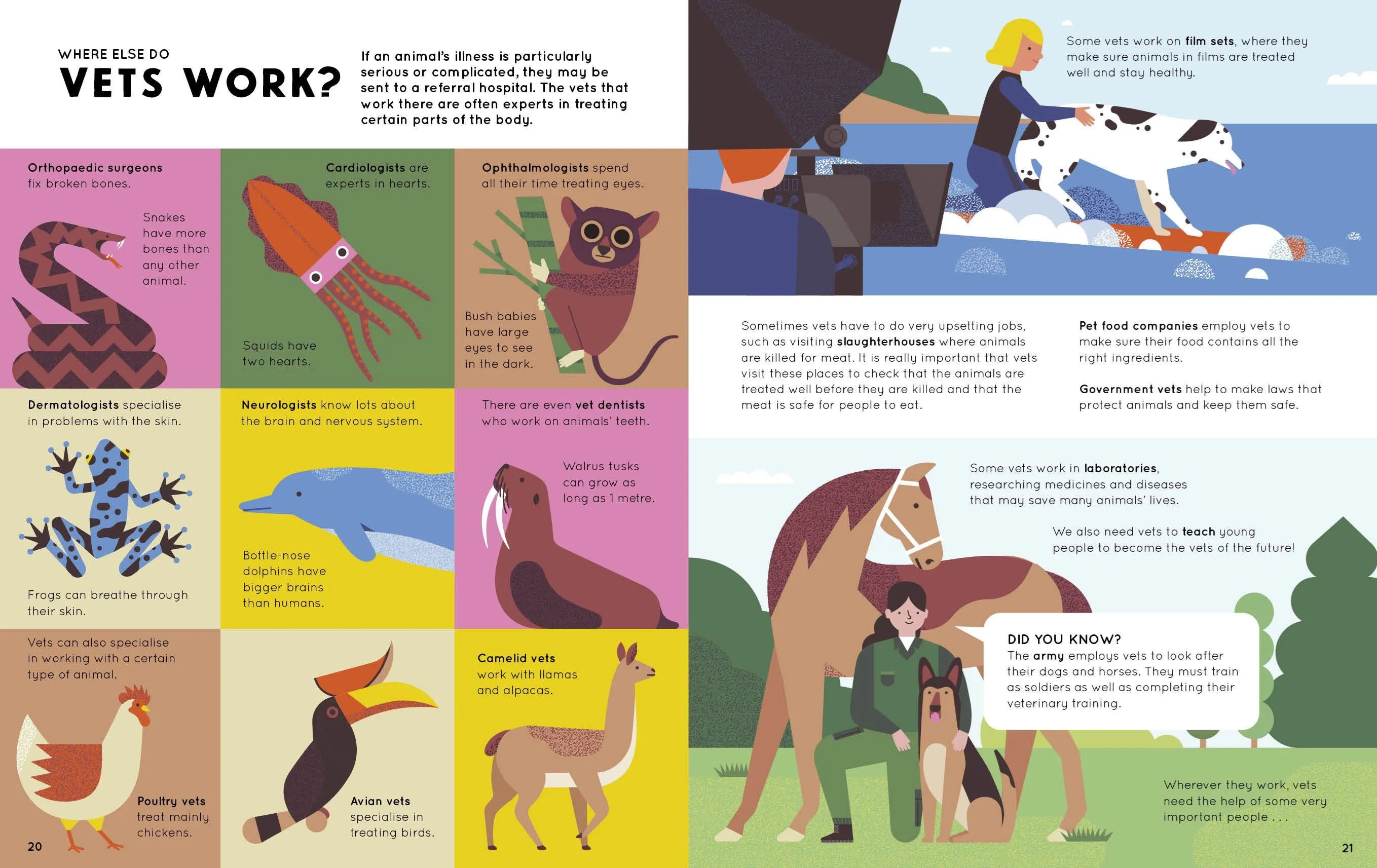 HOW TO BE A VET AND OTHER ANIMAL JOBS (HB)