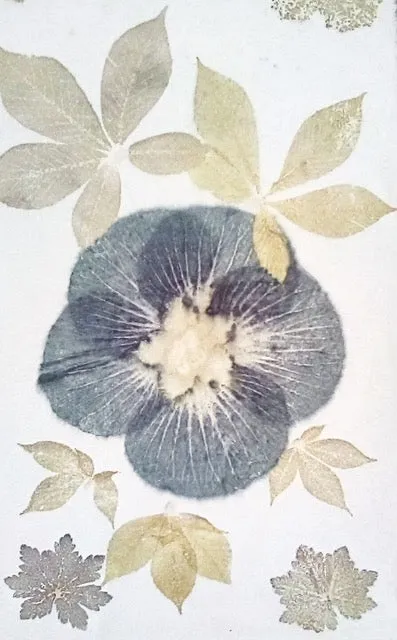 INTRO TO THE MAGIC OF ECO-PRINTING WITH DIANE KUEHN
