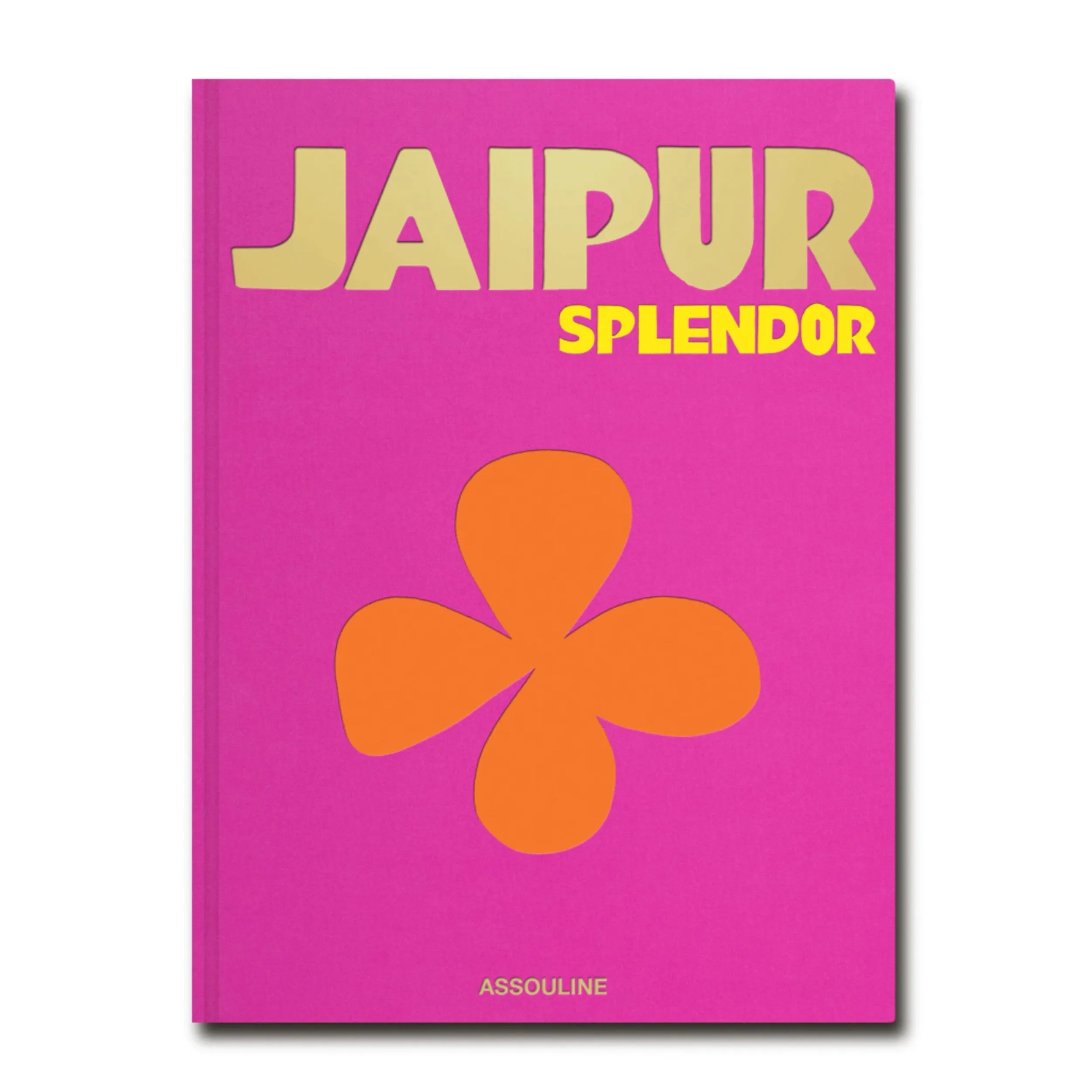 Jaipur Splendor Book