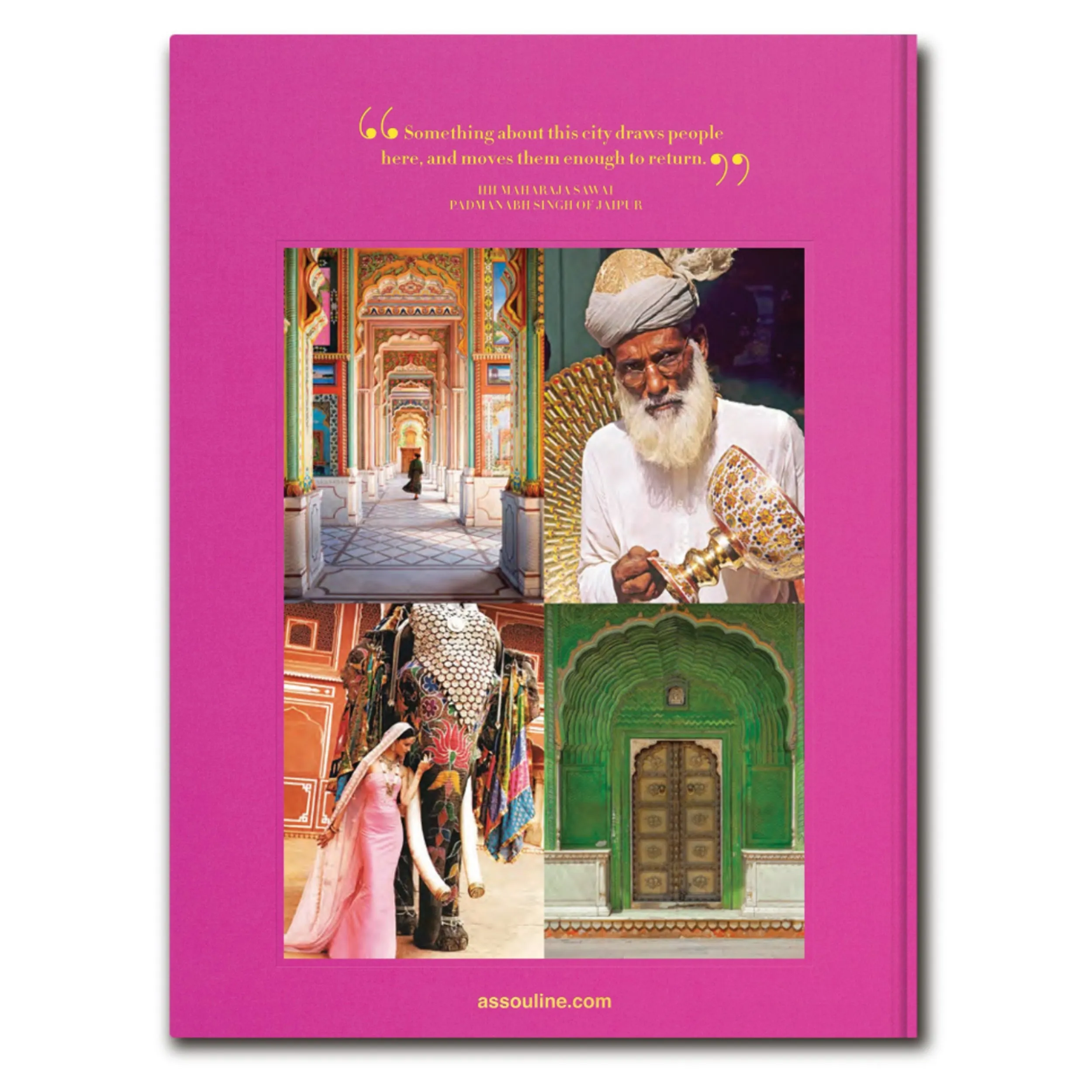 Jaipur Splendor Book