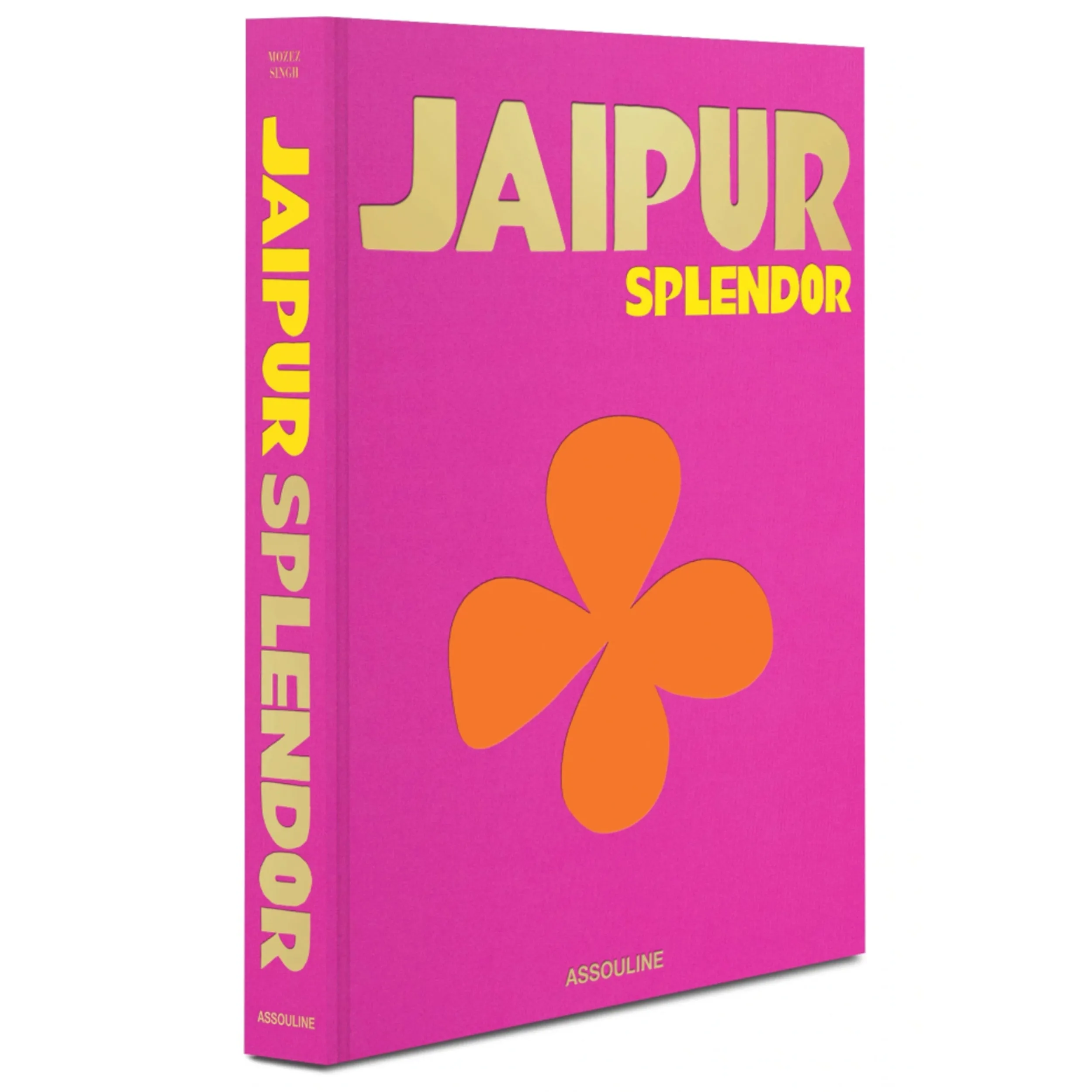 Jaipur Splendor Book