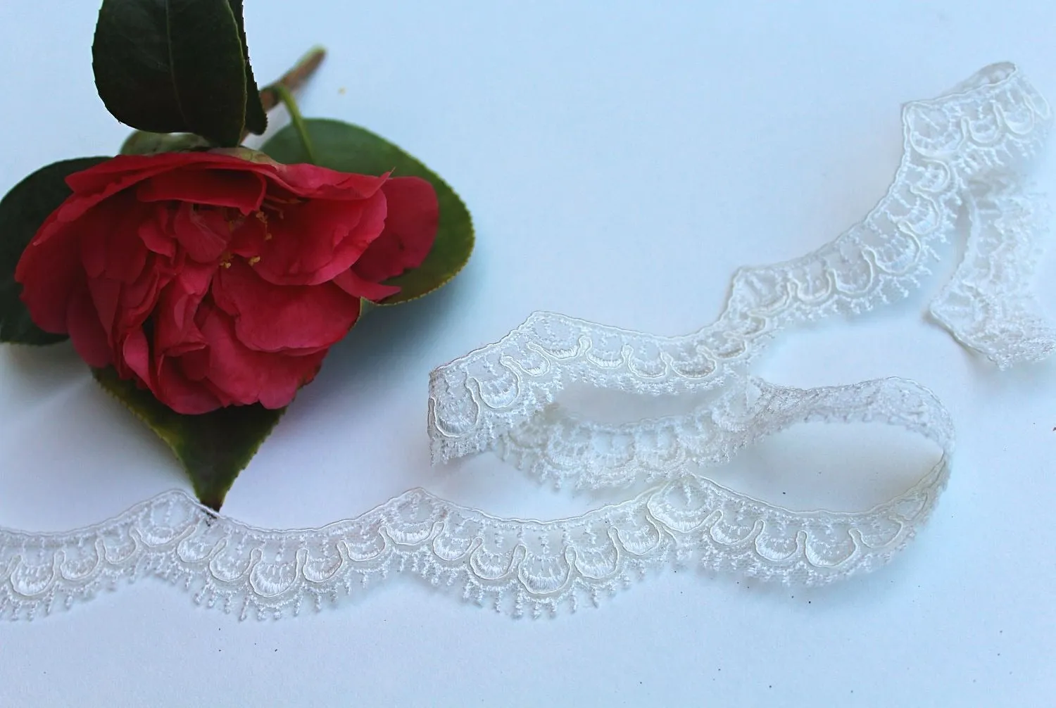 Lace Fingertip Length Wedding Veil with Thin Scallop Lace Trim, Off White/ Ivory Bridal Veil