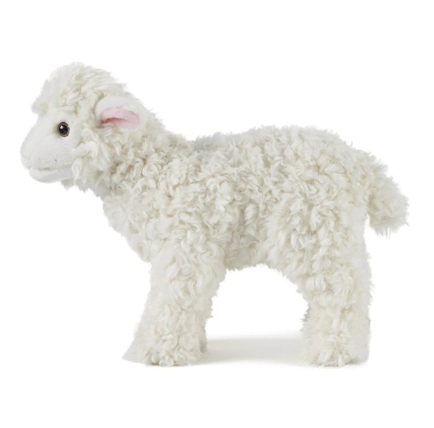 Lamb
