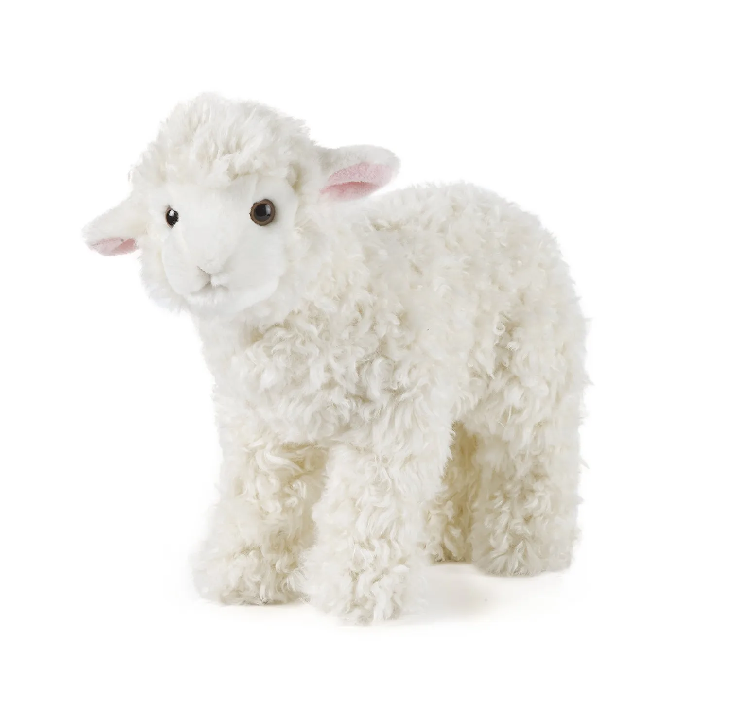 Lamb
