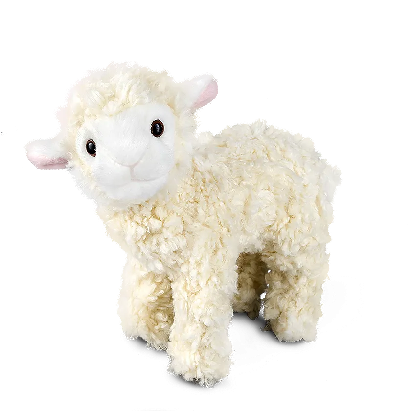 Lamb