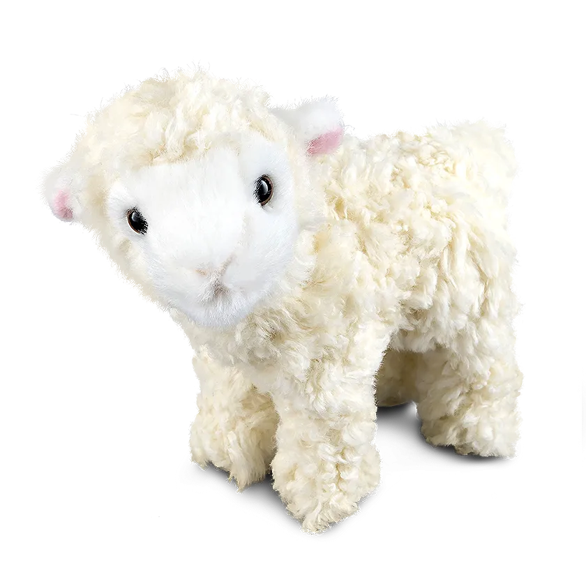 Lamb