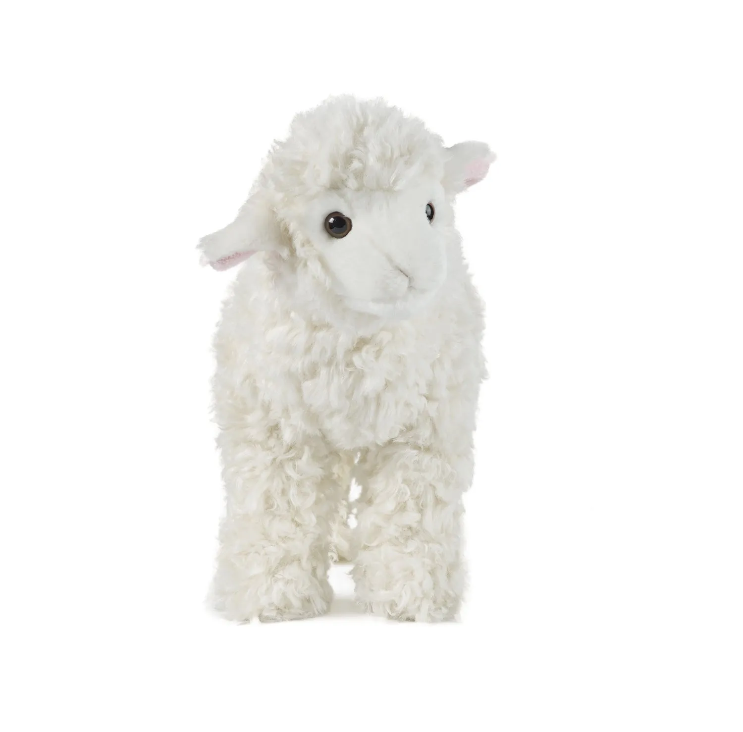 Lamb