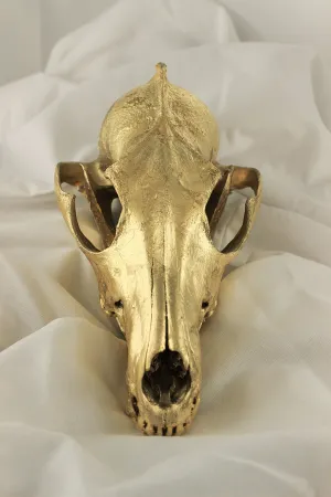 Large Skull