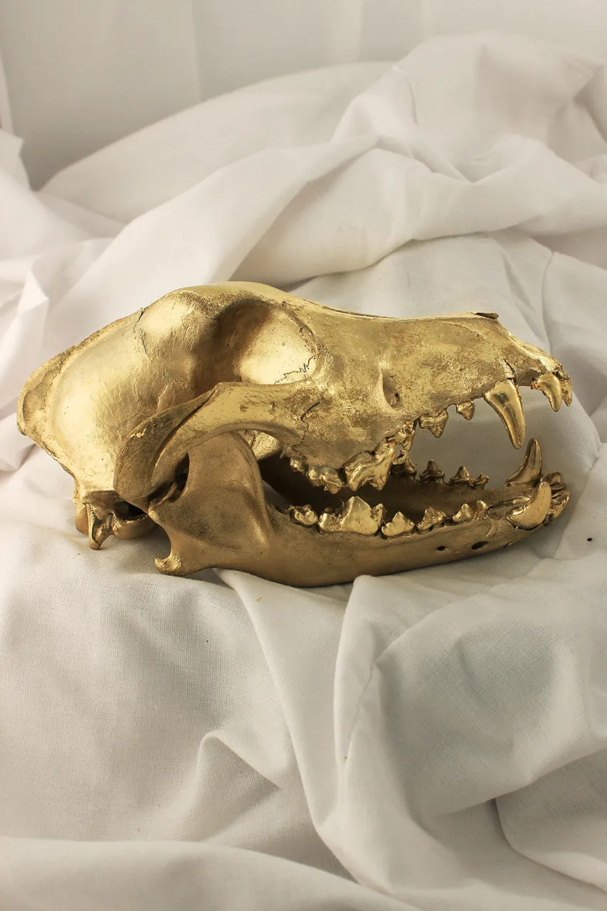 Large Skull