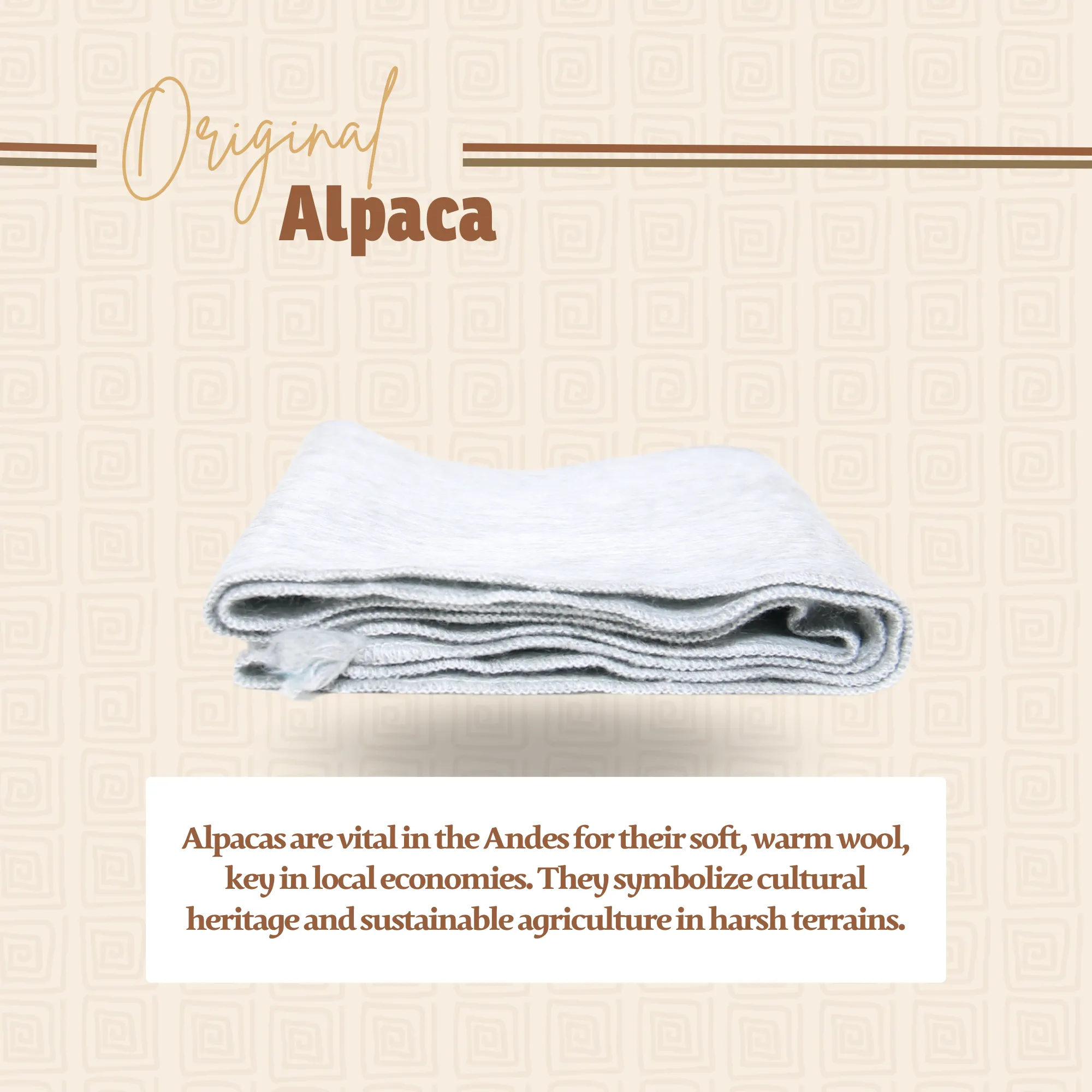 Light Gray Alpaca Traditional Scarf