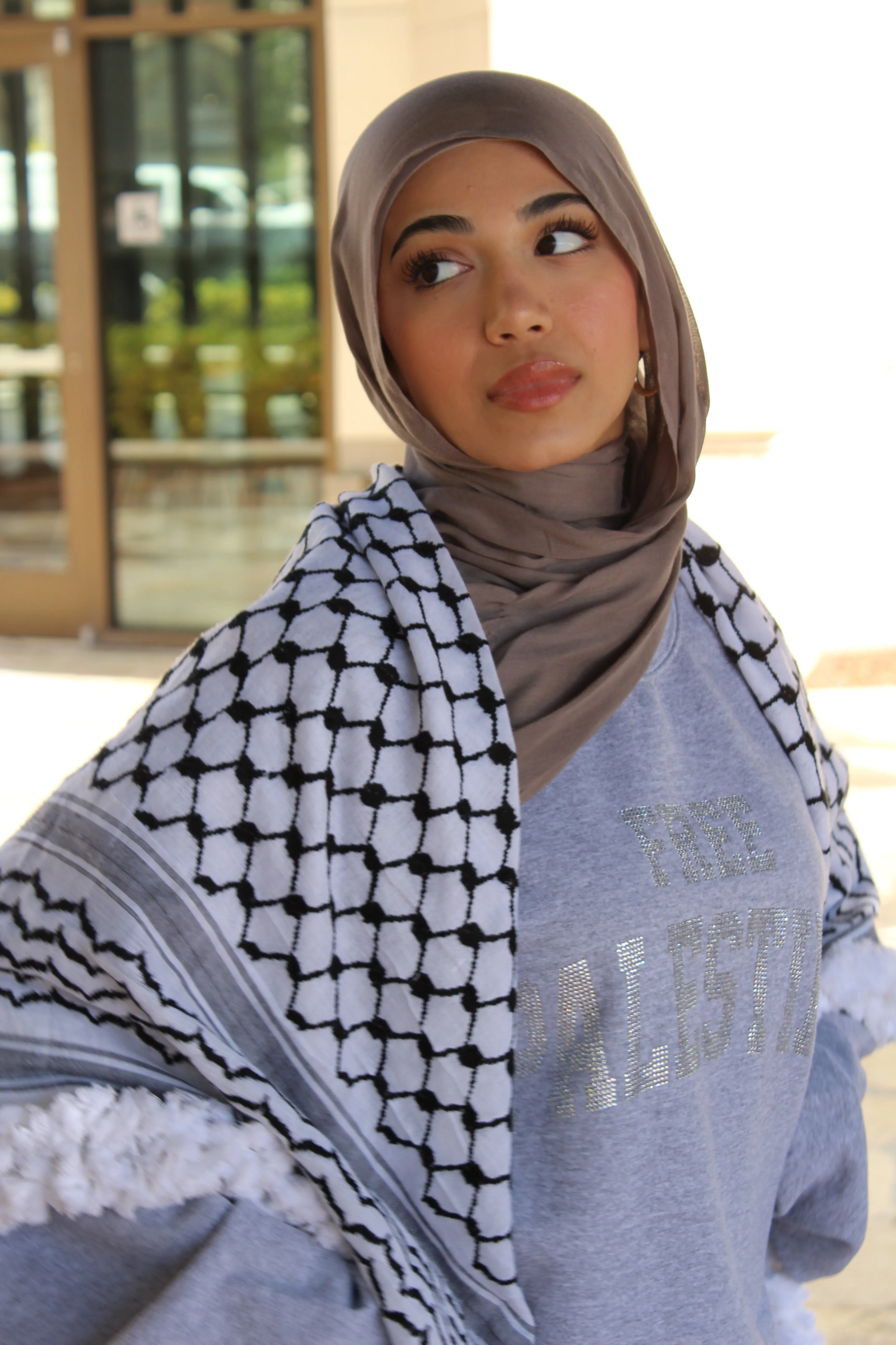 Light Gray Rhinestone Palestine Sweater