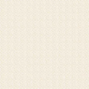 Linen Closet 3 Cream - (2)