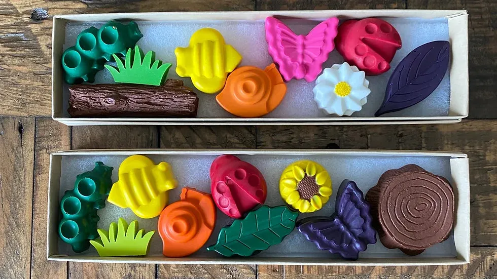 Nature Bugs Crayon Gift Set